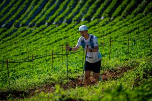 BIB: 
                            <button type="button" onclick="openModal(19161024)" class="btn btn-primary btn-sm float-right btn-popup" data-toggle="modal" data-target=".modal-high-quality">
                        <i class="fas fa-shopping-cart"></i> Add to Cart
                    </button>
                                            <button type="button" onclick="isThisMe(19161024, true)" class="btn btn-success btn-sm float-right btn-popup btn-isme hidden" data-toggle="tooltip" data-placement="bottom" title="นี่คือรูปของคุณใช่ไหม คลิกที่นี่เพื่อเอาเข้าอัลบั้ม">
                        <i class="fas fa-plus"></i> Add to album
                    </button>
                    <button type="button" onclick="isThisMe(19161024, false)" class="btn btn-warning btn-sm float-right btn-popup btn-isnotme hidden">
                        <i class="fas fa-ban"></i> Remove from album
                    </button>